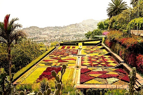 Funchal Botanic Garden - Madeira, Portugal.
