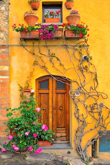 Vine Entryway, Tuscany, Italy