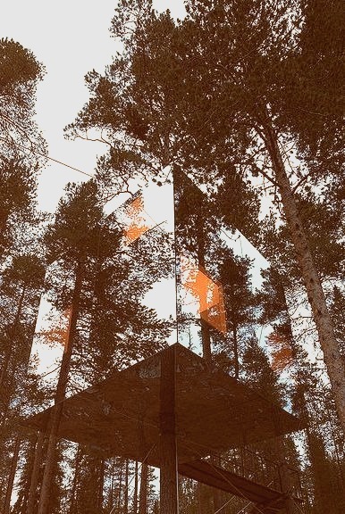 The camouflaged mirrorcube at Harads Tree Hotel / Sweden